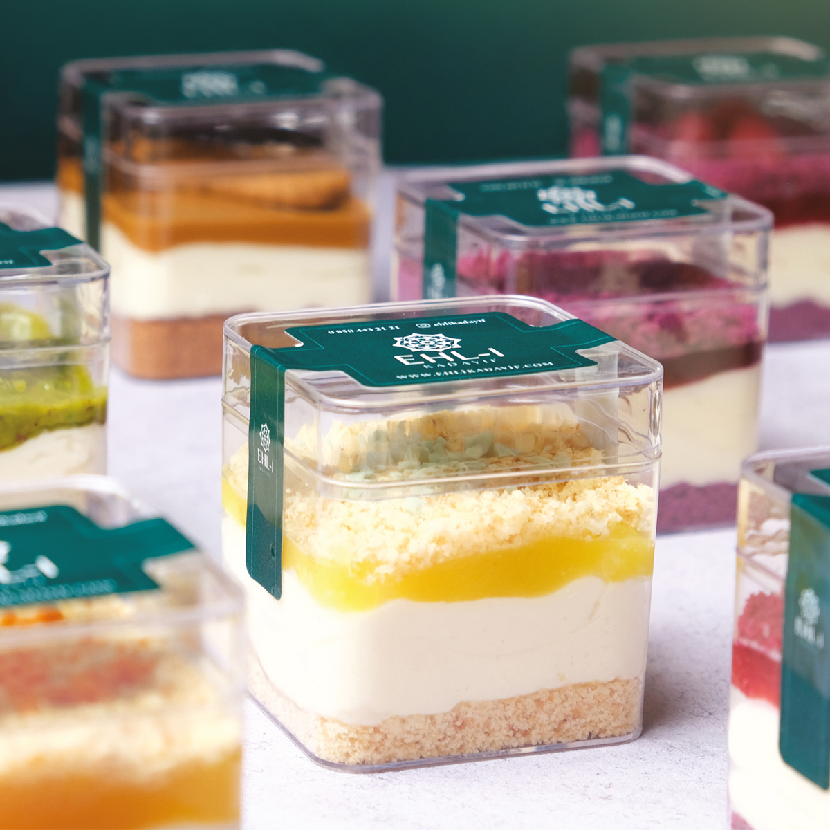 Magnolya Çeşitleri